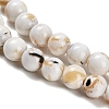 Assembled Synthetic Stone and Trochus Shell Beads Strands G-B128-08B-01-3