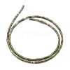 Natural Unakite Beads Strands G-F631-B01-2