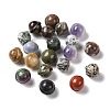 Natural Gemstone Display Decorations G-G861-01-1