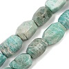 Natural Amazonite Beads Strands G-F796-C08-01-2