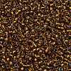 TOHO Round Seed Beads X-SEED-TR11-1853-2