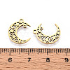 201 Stainless Steel Charms STAS-T066-92G-3