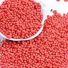 Baking Paint Glass Seed Beads SEED-K010-A08-1