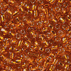 6/0 Glass Seed Beads X2-SEED-A005-4mm-29-2