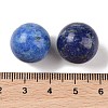 Natural Lapis Lazuli No Hole Sphere Beads G-K353-04D-10-3