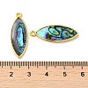 Natural Paua Shell Pendants KK-E059-13G-3