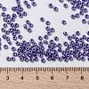 MIYUKI Round Rocailles Beads X-SEED-G008-RR0432-4