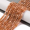 Natural Peach Moonstone Beads Strands G-A235-B07-01-2