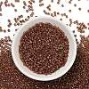 TOHO 8/0 Round Beads SEED-XTR08-1849-3