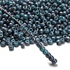 TOHO 6/0 Round Beads X-SEED-TR06-1206-2