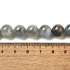 Natural Aquamarine Beads Strands G-I349-A01-01F-4