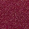 TOHO Round Seed Beads SEED-JPTR11-0165BF-2