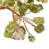 Natural Peridot Chips Money Tree Decorations DJEW-C016-01G-2