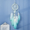 Woven Net/Web with Feather Pendant Decoration PW-WGD396E-01-3