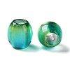 Painted Acrylic Beads OACR-Z010-03C-2