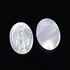 Natural White Shell Cabochons SSHEL-D083-16B-2