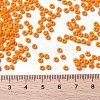 MIYUKI Round Rocailles Beads SEED-JP0009-RR0405-4