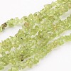 Peridot Gemstone Beads F045-1