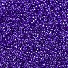 MIYUKI Round Rocailles Beads X-SEED-G007-RR0176-3