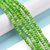 Natural Freshwater Shell Beads Strands SHEL-H002-04-2