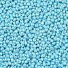 6/0 Glass Seed Beads X1-SEED-L011-08A-13-3