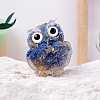 Resin Owl Display Decoration PW-WG50315-08-1