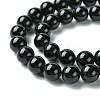 Natural Black Onyx Round Beads Strand G-L087-12mm-01-3