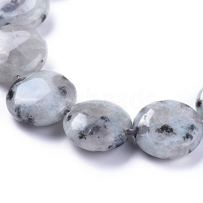 Natural Sesame Jasper/Kiwi Jasper Beads Strands G-G805-D13-1