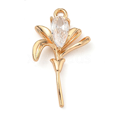 Brass Micro Pave Clear Cubic Zirconia Pendants LS-ZIRC-U003-01G-04-1