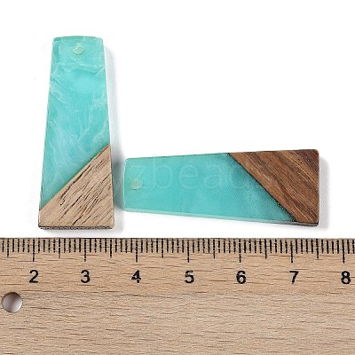 Resin & Wood Pendants WOOD-F015-04E-1