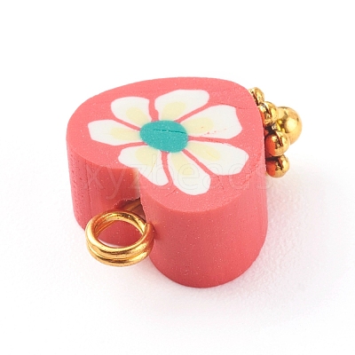 Handmade Polymer Clay Charms PALLOY-JF00706-1