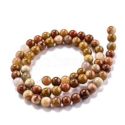 Natural Petrified Wood Beads Strands G-O199-06A-1