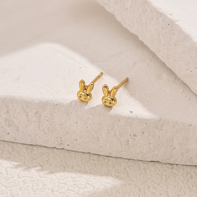 Stainless Steel Stud Earrings TY5143-1-1
