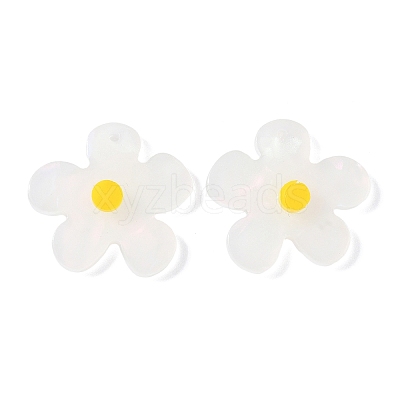 Opaque Acrylic Pendants FIND-K024-02B-1