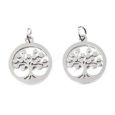 Non-Tarnish 304 Stainless Steel Pendants STAS-T046-JA350-1-1