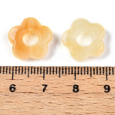 Gradient Color Transparent Acrylic Beads OACR-N137-49S-1