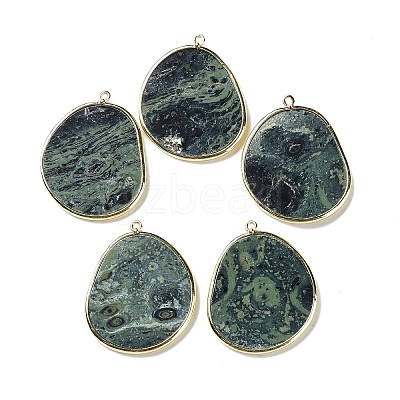Natural Rhyolite Jasper Pendants G-E526-09G-1