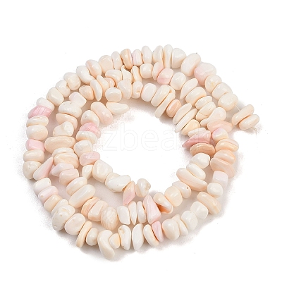 Natural Pink Shell Beads Strands SSHEL-L016-19-1