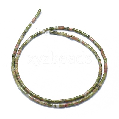 Natural Unakite Beads Strands G-F631-B01-1