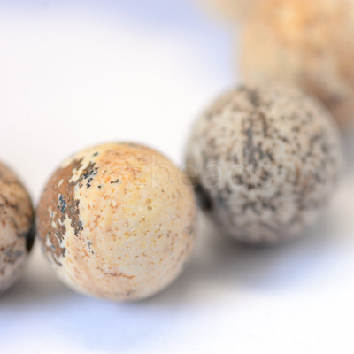 Frosted Natural Picture Jasper Round Bead Strands G-E334-12mm-26-1