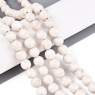 Dyed Natural Fossil Beads Strands G-T139-8mm-66A-1