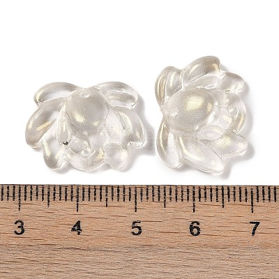 Baking Paint Glass Beads GLAA-S202-13F-1