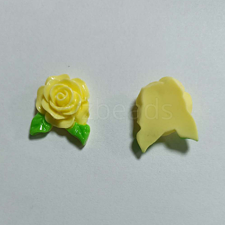 Resin Cabochon PJ-TAC0001-14B-1