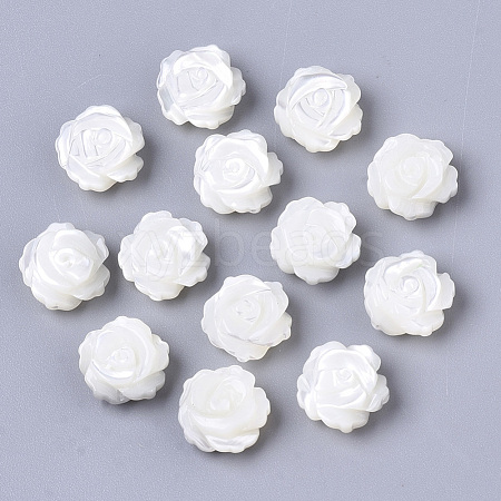 Natural Trochid Shell/Trochus Shell Beads SSHEL-N034-40B-01-1