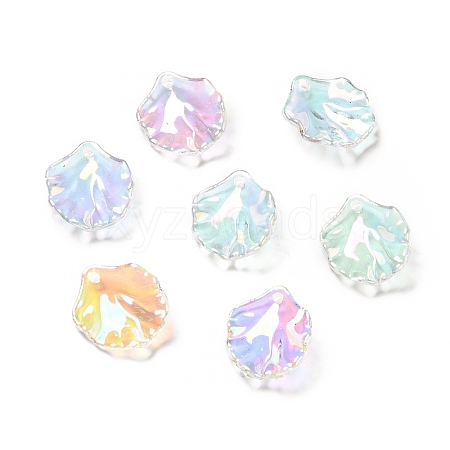 Transparent Acrylic Pendants X-MACR-C009-06-1