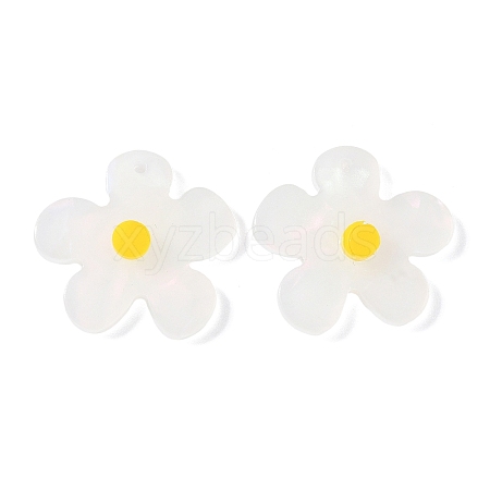 Opaque Acrylic Pendants FIND-K024-02B-1