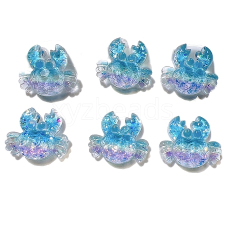 5Pcs Resin Cabochons PW-WG6A867-03-1