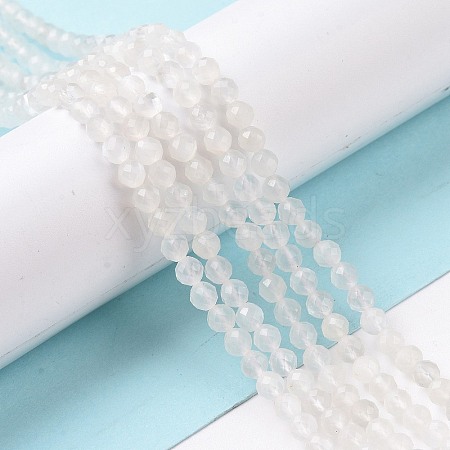 Natural Moonstone Beads Strands G-F736-01-1