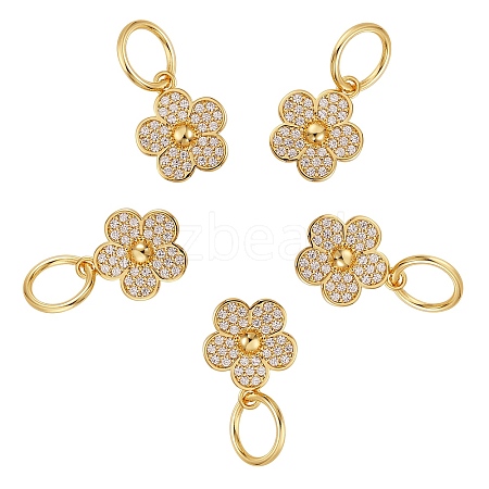 5Pcs Brass Micro Pave Clear Cubic Zirconia Charms ZIRC-SZ0001-99-1