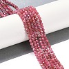 Natural Rhodonite Beads Strands G-G139-A16-03-2